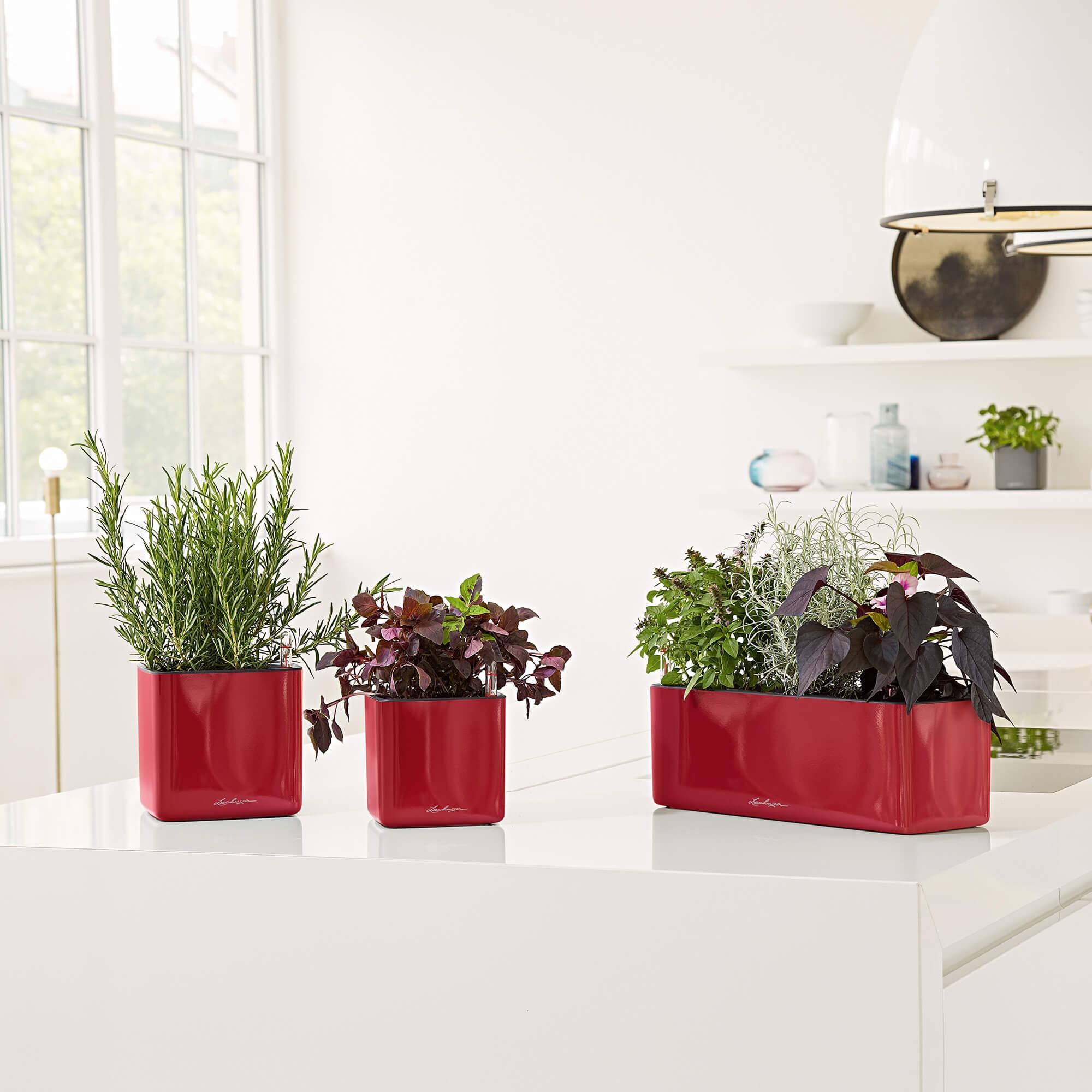 le_cube-glossy-triple_product_addi_04